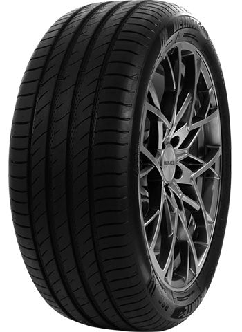 DELINTE DS2 255/40 R20 101 Y XL